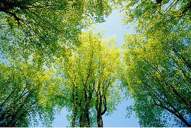 《格林魔书OnceMore》发布PV精灵魔法篇 游戏7月发售